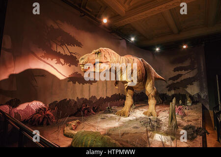 Spostando Tyrannosaurus rex. Interno del Museo di Storia Naturale. Istituito nel 1881, il museo ospita 80milioni di oggetti provenienti da tutto il mondo. Londra Foto Stock