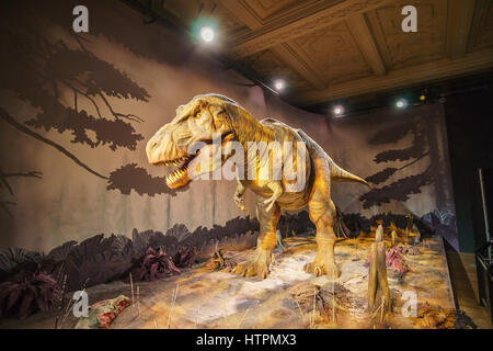 Spostando Tyrannosaurus rex. Interno del Museo di Storia Naturale. Istituito nel 1881, il museo ospita 80milioni di oggetti provenienti da tutto il mondo. Londra Foto Stock