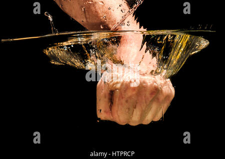 Pugno di uomini immersi in acqua con grande velocità, studio shot Foto Stock