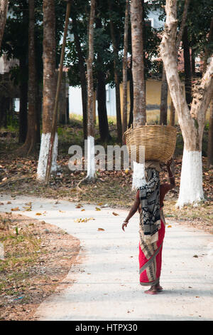 SRIMANGAL, BANGLADESH - Febbraio 2017: persone che lavorano nei campi di tè in Srimangal in Sylhet divisione del Bangladesh Foto Stock