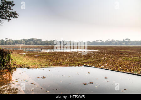 Il grande lago accanto alla tomba moschea di Khan Jahan Ali in Bagerhatat il bordo del Sundarbans in Bangladesh Foto Stock