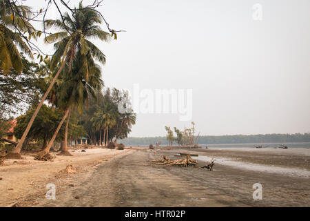 Spiaggia nel Parco Nazionale della Sundarbans, famoso per la sua Royal tigre del Bengala in Bangladesh Foto Stock