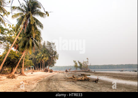 Spiaggia nel Parco Nazionale della Sundarbans, famoso per la sua Royal tigre del Bengala in Bangladesh Foto Stock