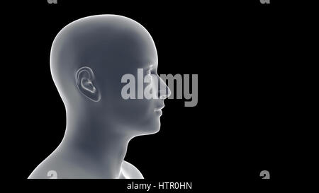 Profilo di un sorridente bel giovane uomo caucasico (concettuale 3d'illustrazione su uno sfondo nero) Foto Stock
