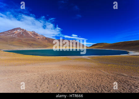 Miniques e Miscanti lagune nella regione di Antofagasta, Nord del Cile Foto Stock