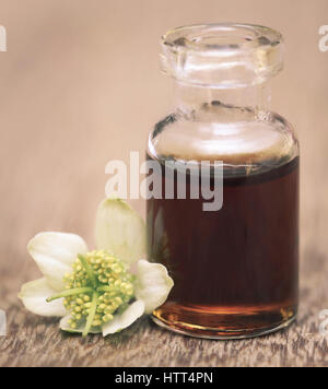 Nigella fiore e olio essenziale in una bottiglia di vetro Foto Stock