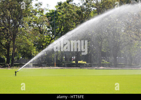 In sprinkler irrigazione prato verde dei campi da golf della mattina. Foto Stock