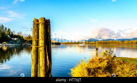 Tramonto sul fiume Fraser Dalla Brea isola su una chiara winterday in British Columbia, Canada Foto Stock