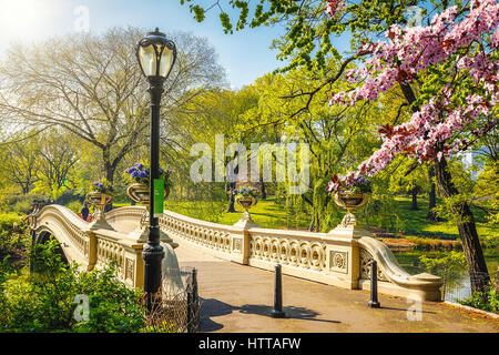 Ponte di prua a Central park a primavera giornata soleggiata, New York City Foto Stock