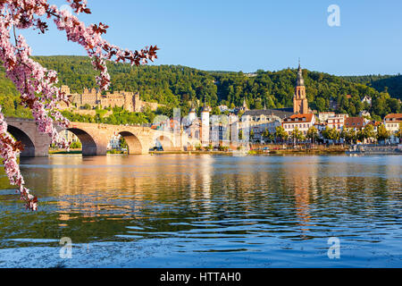 Vista su Heidelberg a molla, Germania Foto Stock