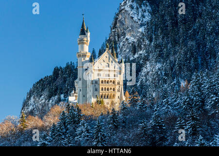 Il Castello di Neuschwanstein sulla mattina presto in inverno circondato da ombre Foto Stock