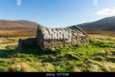 Tradizionale casa di pietra, Rackwick bay, Orkney, Scozia Foto Stock