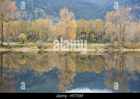 Colori d'autunno gli alberi si riflette nelle calme acque del fiume Fraser Valley, lungo l'autostrada Lougheed, nei pressi di missione, British Columbia, Canada. Foto Stock