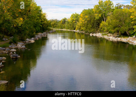 Una sezione del Fiume Bow in Prince Island Park, Calgary, Alberta, Canada Foto Stock