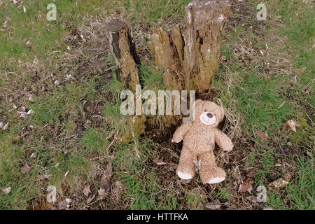 Infanzia concettuale foto Teddy bear danaged ceppo di albero Foto Stock