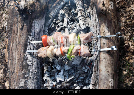 Succose fette di carne con salsa preparare sul fuoco. fresche alla griglia calda pollo shish kebab barbecue sulla griglia a carbone Foto Stock