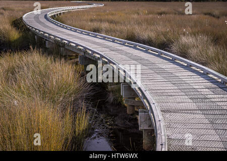 Il Boardwalk in zone umide Foto Stock