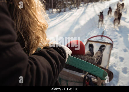 Donna su un sleigh ride con Siberian Husky Foto Stock
