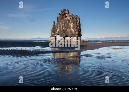 Hvitserkur, stack di basalto nel nord-ovest dell'Islanda, Giugno 2015 Foto Stock