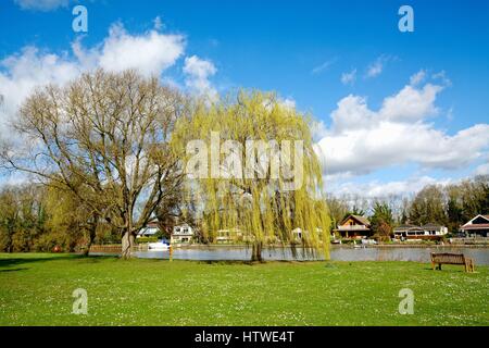 Runnymede piacere terreno dal fiume Tamigi, SURREY REGNO UNITO Foto Stock