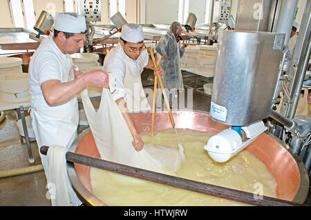 PARMA, Italia - 24 Aprile 2012: i lavoratori del Caseificio la Traversetolese fabbrica di parmigiano prendete la massa di formaggio al di fuori dell'IVA in rame, metterlo in Foto Stock