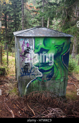 Green monster i graffiti sulla scatola di metallo, stand nella foresta dei monti Karkonosze, Polonia, Europa Foto Stock