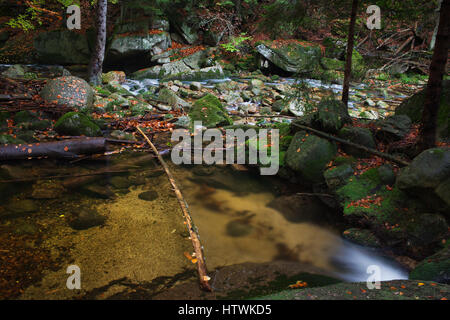 Piccola piscina di flusso divisi e separati da un albero, una metà con liscia e sfocata l'acqua, l'altro chiaro e trasparente e creek nelle foreste di montagna Foto Stock