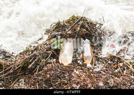 Le bottiglie di plastica di irn bru lavato fino sulla spiaggia nell'estuario del Clyde Foto Stock