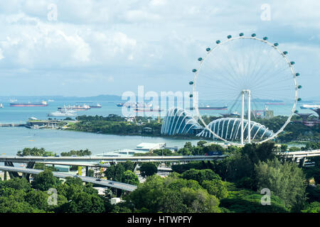 Il Singapore Flyer, una gigantesca ruota panoramica Ferris, accanto ai giardini dalla baia, Marina Sands, Singapore. Foto Stock