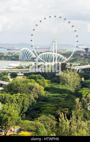 Il Singapore Flyer, una gigantesca ruota panoramica Ferris, accanto ai giardini dalla baia, Marina Sands, Singapore. Foto Stock