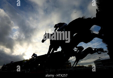 Guide e piloti competere nel 16:50 JT McNamara National Hunt Challenge Cup piloti amatoriali' debuttante Chase campione durante il giorno del 2017 Cheltenham Festival a Cheltenham Racecourse. Foto Stock