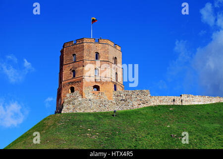 Storica Torre di Gediminas nella città vecchia di Vilnius. La Lituania. Foto Stock