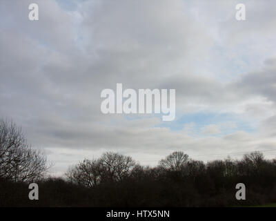 Un semplice bianco e blu cielo velato con un albero skyline. Foto Stock