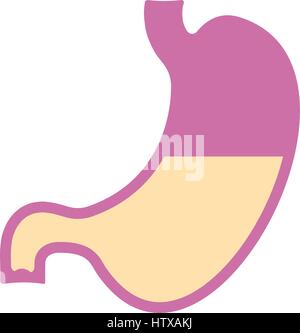 Icona dello stomaco. Umano degli organi interni. La digestione. Apparato digerente, sistema stile piatto Illustrazione Vettoriale