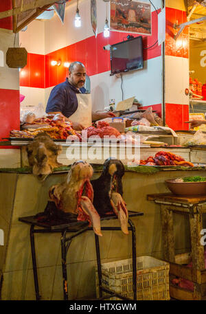 Fes, Marocco. Butcher Shop. Le vacche" teste e testa di cammello in vendita. Nella Medina. Foto Stock