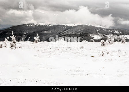 Dlouhe strane montagna cresta da bridlicna hora hill in inverno Hruby Jesenik montagne in Repubblica ceca Foto Stock