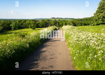 Unadopted stretta pista attraverso un verde paesaggio di terreni agricoli in Old Derry Hill Wiltshire, Inghilterra REGNO UNITO Foto Stock