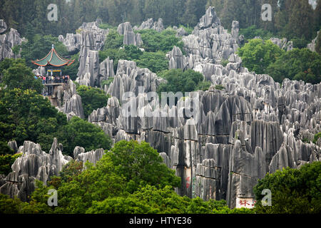 La Shilin Foresta di Pietra è un insieme di formazioni calcaree situate nella provincia di Yunnan in Cina. Foto Stock