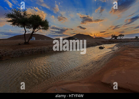 Campo Beduino di cammelli e dal foro per l'acqua, deserto Arabico, Arabia Saudita Foto Stock