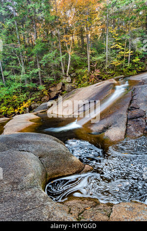 Una delle numerose cascate lungo la cascata Brook, Franconia Notch Membro, Parco, Grafton Co., NH Foto Stock