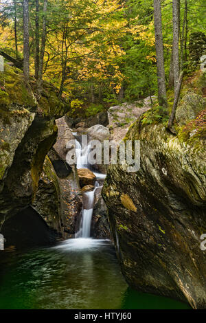 Texas cade sul Texas ruscello che scorre attraverso la montagna verde foresta nazionale, Addison Co., VT Foto Stock