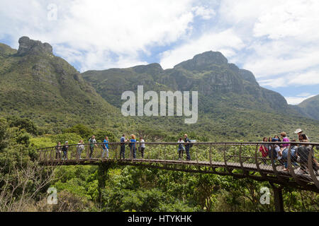 Città del Capo Sud Africa Kirstenbosch National Botanical Gardens - turisti sul pontile, Città del Capo Sud Africa Foto Stock