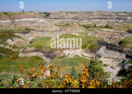 Vista panoramica di Horseshoe Canyon, Badlands, Alberta, Canada Foto Stock