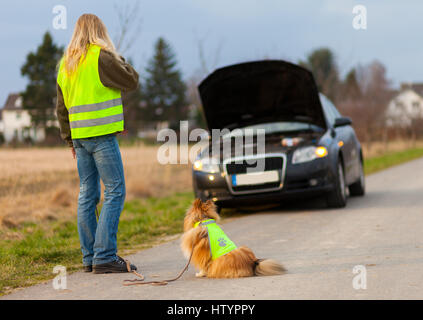 Donna e un cane con giubbotto sorge su una vettura rotto Foto Stock