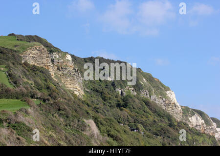 La cima delle scogliere tra Branscombe e testa di birra, Devon, preso dalla spiaggia di Branscombe guardando verso est in una giornata di sole con cielo blu Foto Stock