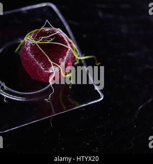 Antipasto di foie gras in jelly Foto Stock