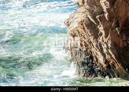 Foto da una coppa di pallanuoto in Höganäs, Svezia. Cup chiamato novembre cup ha avuto luogo a Sportcenter, Höganäs. Foto Stock