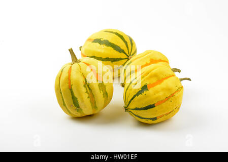 Piccole zucche a strisce su sfondo bianco Foto Stock