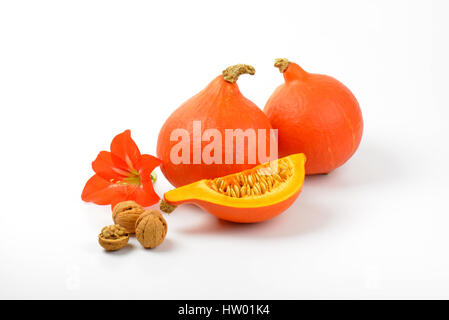 Zucche arancione con noci e fiori di ibisco su sfondo bianco Foto Stock