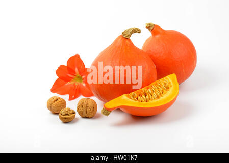 Zucche arancione con noci e fiori di ibisco su sfondo bianco Foto Stock